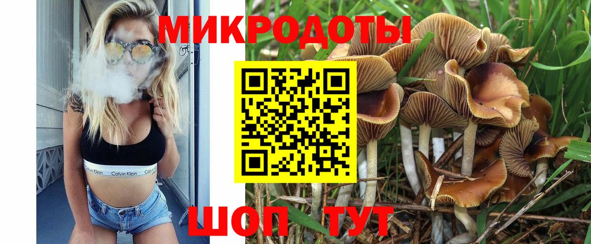 Кинешма  Галлюциногенные грибы Psilocybine cubensis  Вход с VPN 